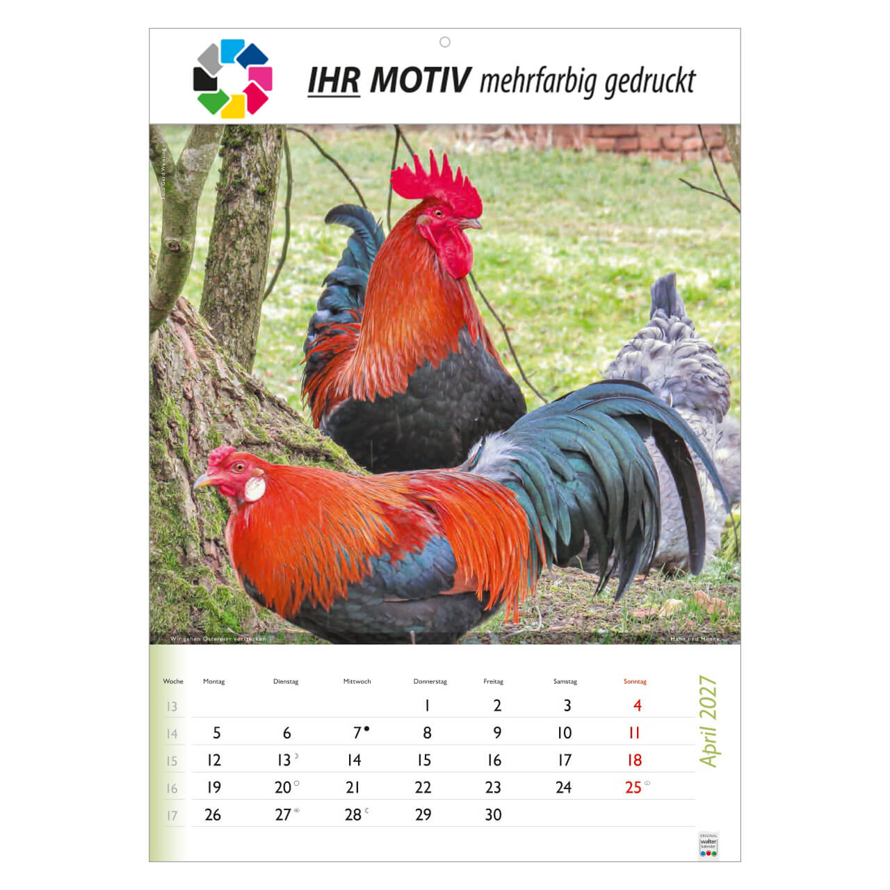 /customers_pics/593/artikel/1112113190/Wunderbare Tiere_2027_213-2027_IhreWerbung_4.jpg